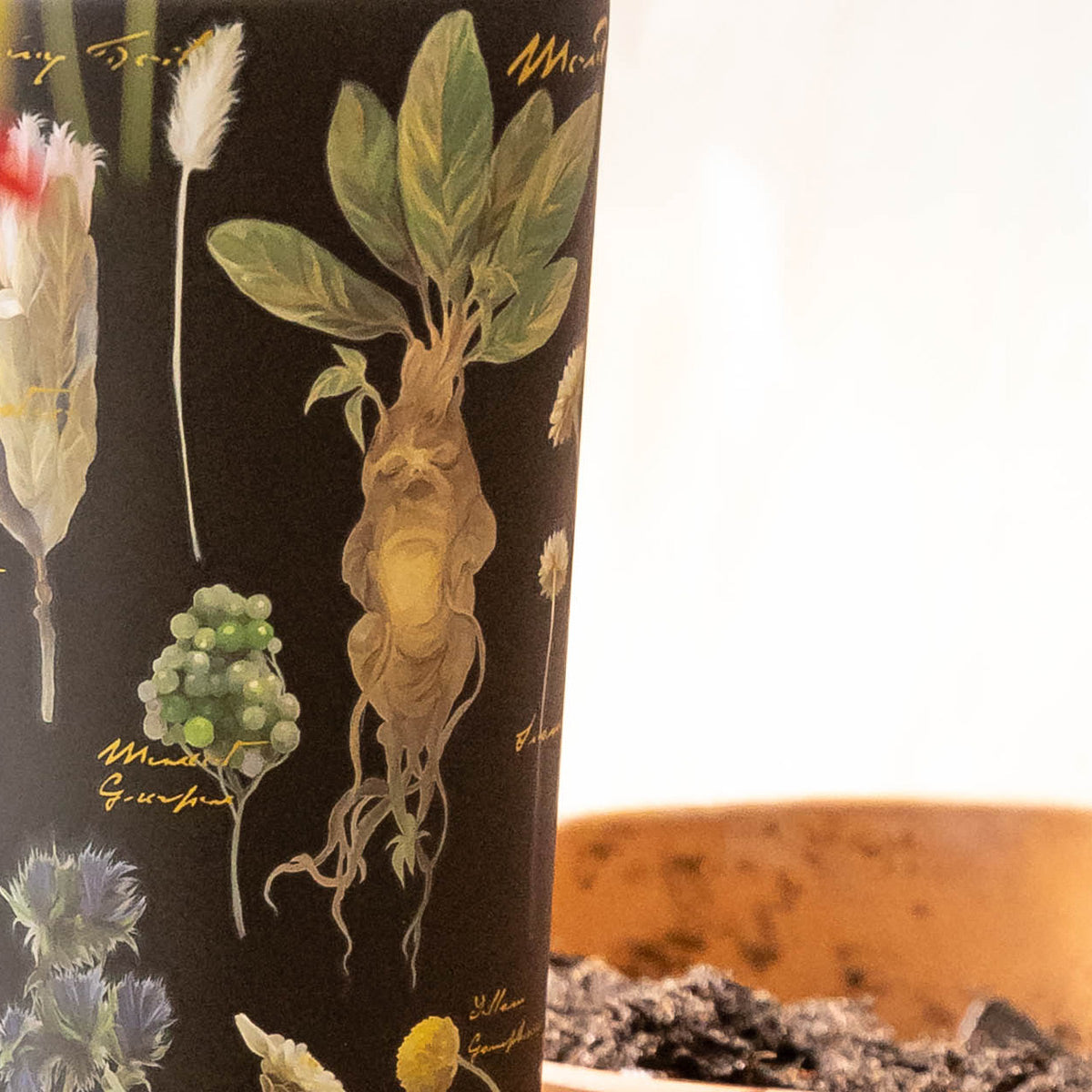 harry-potter-cold-cup-q9 Herbology-3.jpg