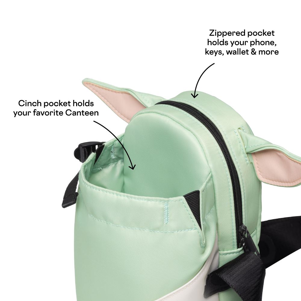disney-sling-c1 53593b3e49e2--Sling-PDP-4.png