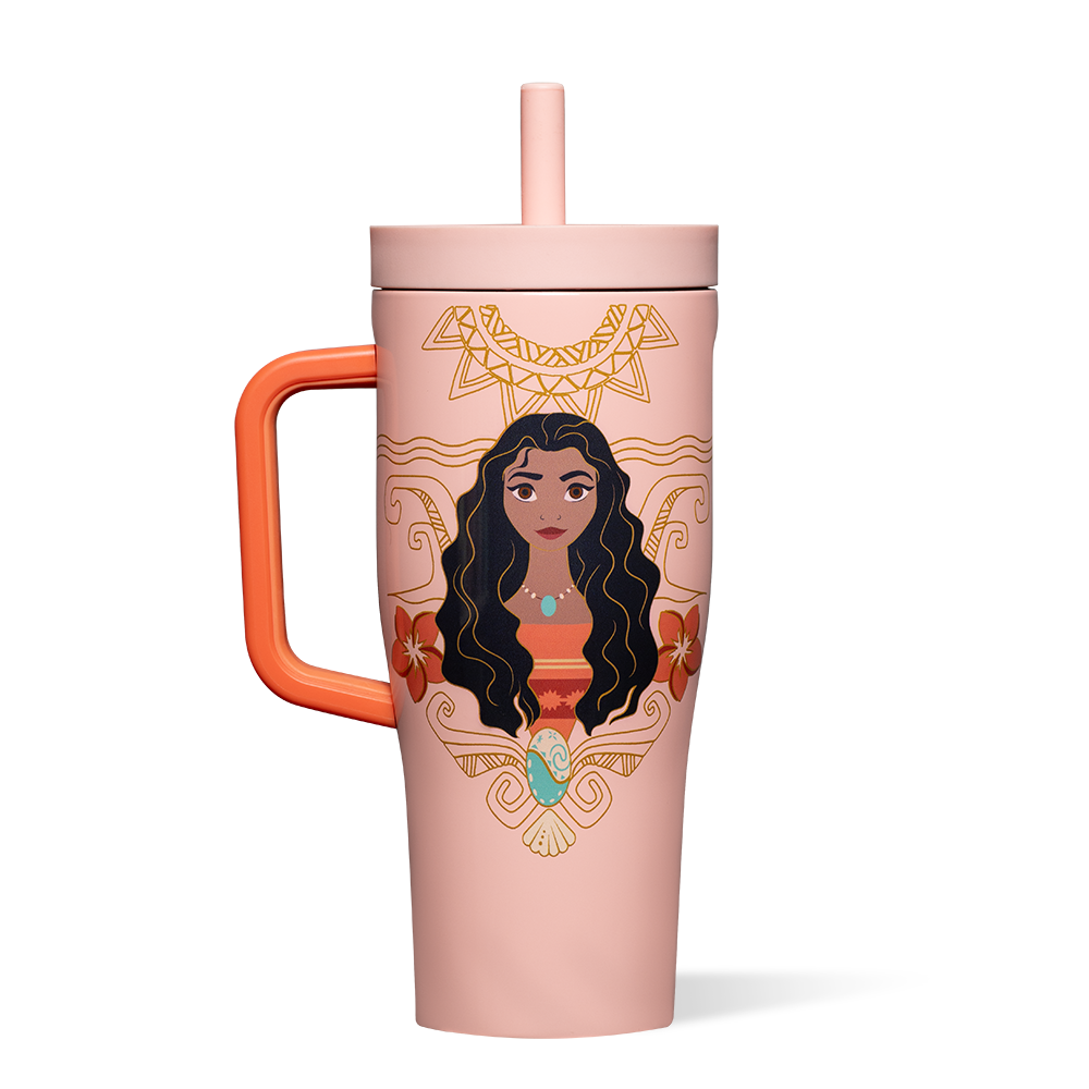 disney-princess-leakproof-cruiser-e1 DIS2222DP-M-01.png