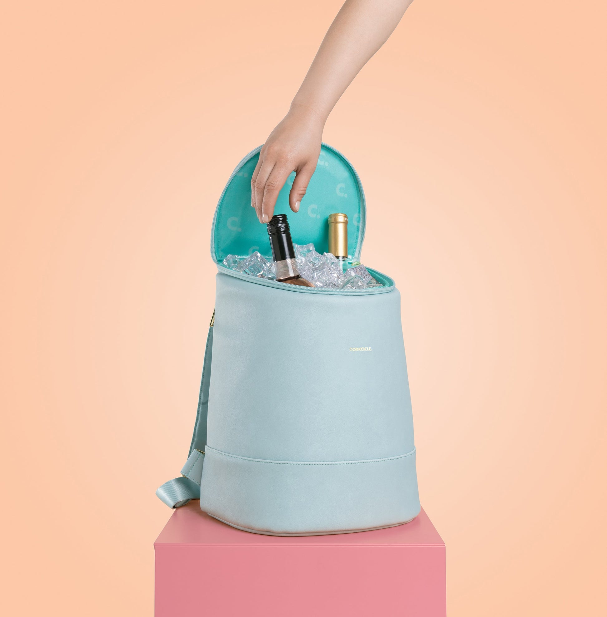 eola-bucket-cooler-bag-w6 a405954e83cf--EOLA-Bucket-copy.jpg